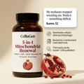 Urolithin A | Cellular Energy Support