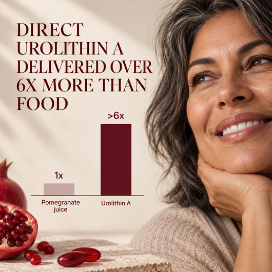 CelluGen CellRefuel+